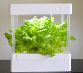 野菜栽培装置　IKEDA「サテライト」