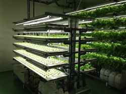 f-プランニング　野菜栽培装置　設置事例　